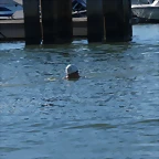 DSC06238_2947x1958