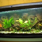 Acuario 120 lts. (Small)