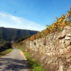DSCN4614