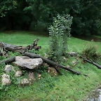 CERZA 27-08-10 041