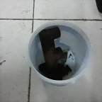 2012-03-22 17.44.55