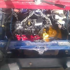IMAG0433