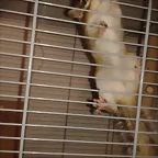 2012-10-14 15.01.05