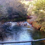 DSCN9250