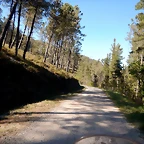 DSCN8968