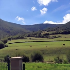 DSCN1625