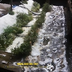 photo 006