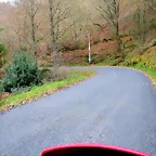 33-IMG_4535