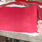 DSCN8568