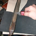 DSCN8563