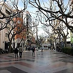 gandia paseo