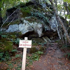 DSCN7927