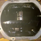 31102010068