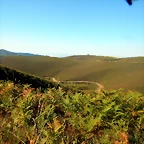 DSCN7710