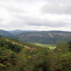 IMG_0446