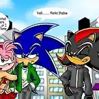 Amy-Sonic-And-Shadow-sonic-couples-2348110-500-305