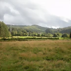 DSCN8394