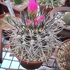 SAM_0780