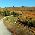 DSCN4683