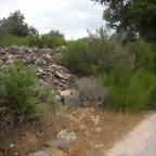 DSCN6232
