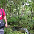DSCN1622