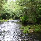 DSCN1633