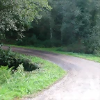 DSCN5336