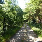 DSCN3197