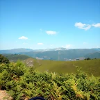 DSCN7121
