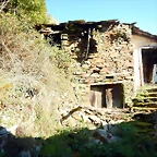 DSCN3895