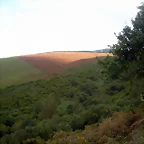 DSCN8443