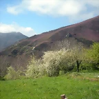 DSCN3933