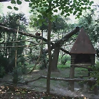 Le Parc des Felins agost 2010 491
