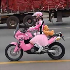 IMG-20181110-WA0001