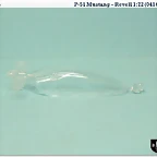 Diapositiva11