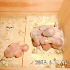 CIMG1208
