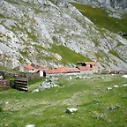 DSCN8209