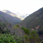 DSCN9107