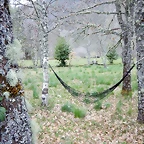 DSCN3947
