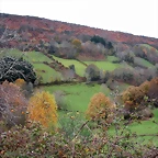 DSCN0875