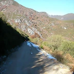 DSCN6874