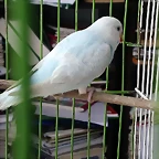 IMG-20190317-WA0011