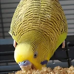 20181014_161715