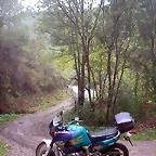 Pia Paxaro 061
