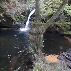 DSCN8769