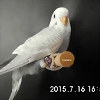 CIMG1339