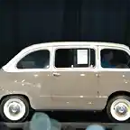 multipla (2)