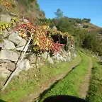 DSCN4480