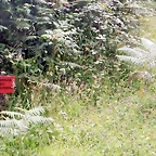 DSCN5813