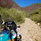 DSCN9358